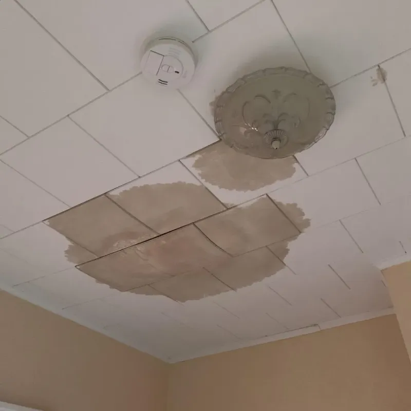 Ceiling Water Damage Repair in Rochelle Park, NJ