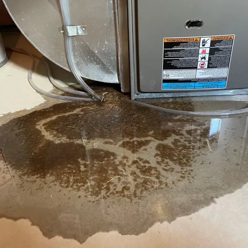 Pipe Burst and Leak Restoration in Rochelle Park, NJ